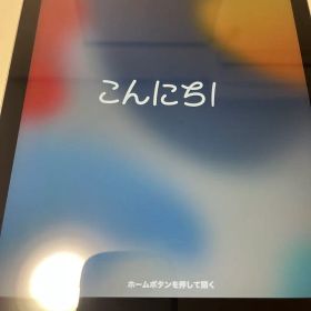 iPad 第6世代 32GB Wi-Fi + Cellular スペースグレイ