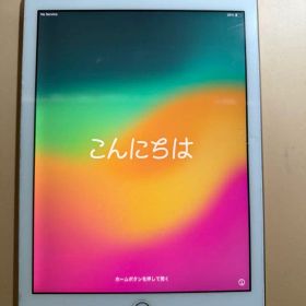 Apple iPad (第6世代) 本体のみ 128GB