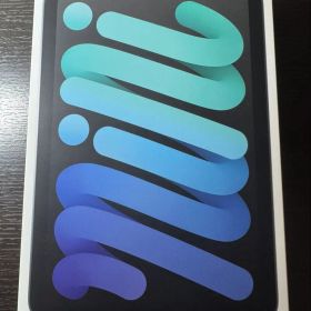 ‼️【最終値下げ】‼️iPad mini (A17 Pro)128GB Wi-Fi