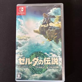 ゼルダの伝説 ティアーズ オブ ザ キングダム