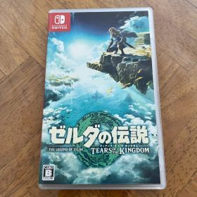 ゼルダの伝説 ティアーズ オブ ザ キングダム