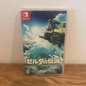 ゼルダの伝説 ティアーズ オブ ザ キングダム