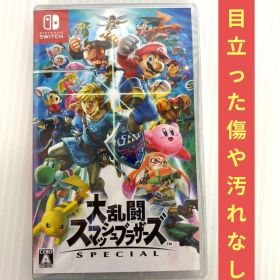 Switch 大乱闘スマッシュブラザーズ SPECIAL ケース付き