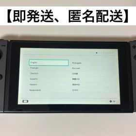 Nintendo Switch 本体 グレー 純正ドッグなし プロコン スプラ