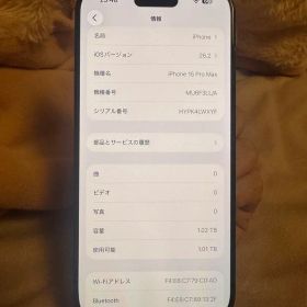 海外版 iPhone 15 Pro Max 1TB，美品，バッテリーは95%