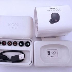 SONY WF-1000XM5 ソニー ワイヤレス イヤホン ブラック