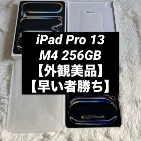 iPad Pro 13インチ M4 2024 新品 163,999円 中古 85,000円 | ネット最