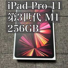 iPad Pro 11 第3世代 M1 256GB cellular