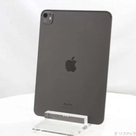 ソフマップ 〔中古品〕 iPad Pro 11インチ 第5世代 標準ガラス 256GB スペースブラック MVV83J／A Wi-Fi【262】