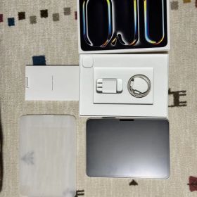Apple iPad Pro 11 M4 + Pencil Proシルバー 本体