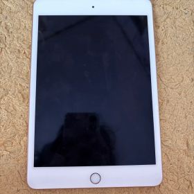 iPadmini 5世代 変換アダプタ付き