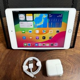 Apple iPad mini (5世代)/ 256GB/Wi-Fi +SIMフリー /cellular 利用制限 無し/バッテリー83.9%健康/美品/CJ03◎