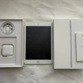 iPad mini Wi-Fi 256GB