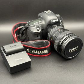 Canon EOS 5D Mark IV + EF 24-105mm 動作品