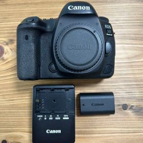 ★整備済 即購入可★Canon EOS 5D Mark IV ボディ