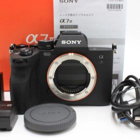 553ショット！SONY(ソニー) フルサイズ ミラーレス一眼カメラ α7IV ボディ ブラック ILCE-7M4