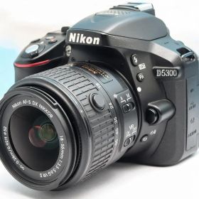 ニコン Nikon D5300⭐️WIFI機能搭載！⭐️一眼レフ⭐️初心者セット
