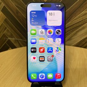 iPhone 15 ProMax 256GB ブラックチタニウム A3105