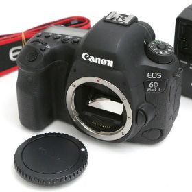 【中古】【美品】キヤノン EOS 6D Mark II ボディ（センサー清掃済） CA01-B4828-3V3B CANON キヤノン EFマウント EOS 一眼レフ フルサイズ