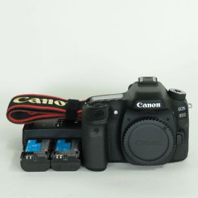 [美品 | バッテリー2個付] Canon EOS 80D | Canon EF-Sマウント