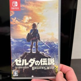 Switch ゼルダの伝説 ブレス オブ ザ ワイルド