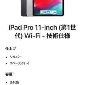 iPad Pro １１インチ（第1世代 wi-Fi＋Cellular）技術使用