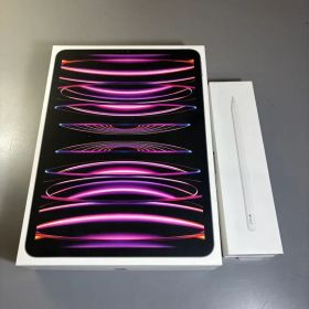 iPad pro 11インチ 第4世代 256GB Apple Pencil