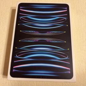 iPad Pro 11インチ 第4世代 256GB セルラー シルバー