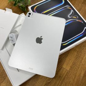 iPad Pro 11インチ M5 256GB シルバー WiFiモデル送料無料