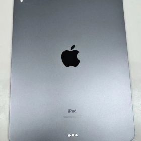 iPad Pro 11インチ 第1世代 Wi-Fi 256GB スペースグレイ 訳アリ品