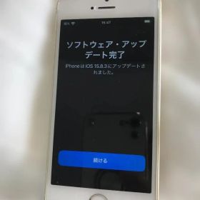【動作品】iPhone SE 第1世代 16GB ゴールド SIMロック有