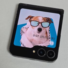 【液晶傷なし】Galaxy Z Flip6 SIMフリー 判定○ 国内版