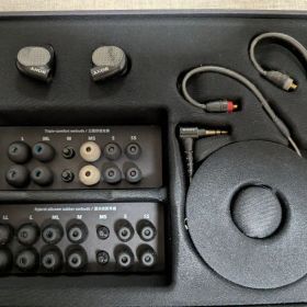 【訳あり】SONY IER-M9 (2018年中国販売品) 状態注意