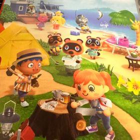あつまれ どうぶつの森 Nintendo Switch