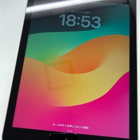 iPad 第6世代 32GB Cellular SIMフリー A1954 スペースグレイ 9.7インチ 動作品