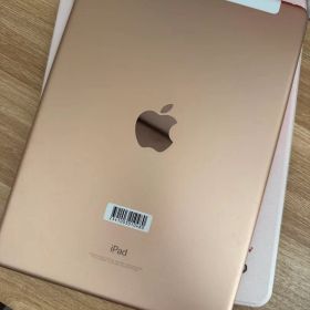 iPad (6th Generation) WiFi+Cellular Pink