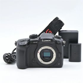 Panasonic パナソニック LUMIX DC-GH5-K ボディ ブラック ミラーレス一眼レフカメラ【中古】