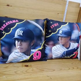 阪神タイガース クッション タカヤマ itoi 2個セット