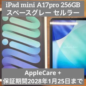 iPad mini A17pro 256GB AppleCare+ セルラー