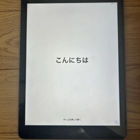 Apple iPad シルバー 本体 第五世代