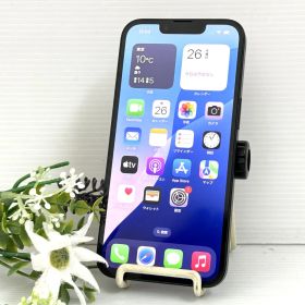 【良品 バッテリー100%】Apple iPhone 16e 128GB SIMフリー A3409(MD1Q4J/A) ブラック 国内版 動作品