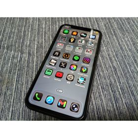 アップル(Apple)のApple iPhone 11 ブラック 256GB SIMフリー(スマートフォン本体)
