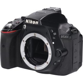 ニコン(Nikon)のＤ５３００(デジタル一眼)