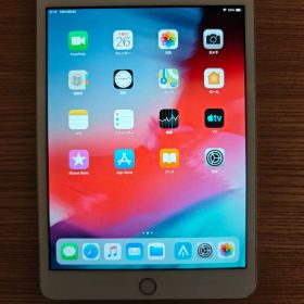 iPad mini3 64G