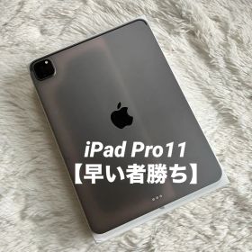 【早い者勝ち】iPad Pro 11 第2世代 256GB 【すぐ発送】