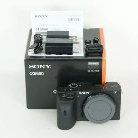 [美品 | シャッター数71,700回] SONY α6600（ILCE-6600） [ボディ] | SONY Eマウント