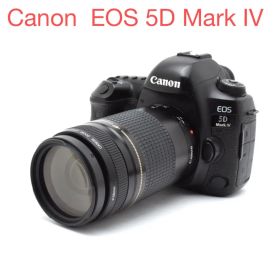 Canon EOS 5D Mark IV / Canon EF 75-300mm