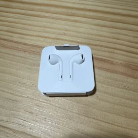 Apple EarPods with Lightning Connector