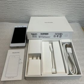 楽天mini ホワイト 本体 箱付属品あり 動作確認済 初期化済