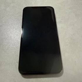 Apple iPhone 12 Pro グラファイト256GB